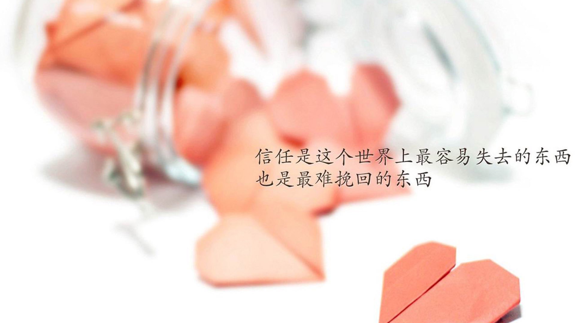 _体育与公益联动：运动助力社会进步_，关于体育的公益项目