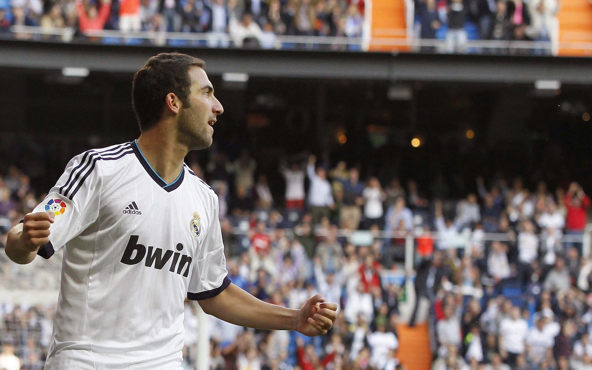 _体育景观节:运动与自然的完美融合_,体育运动对自然环境的影响