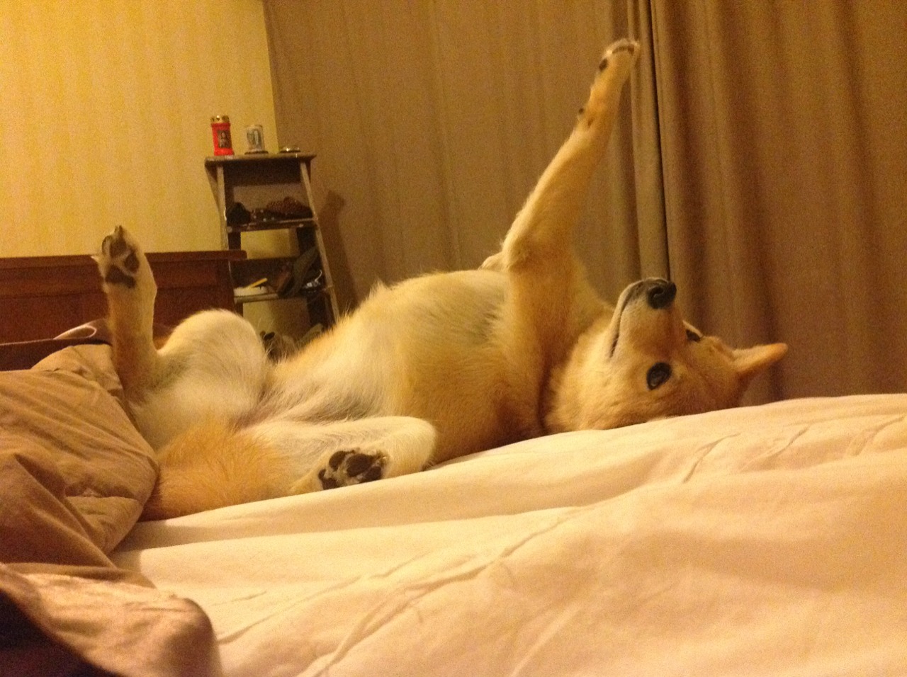 _体育直播新体验：沉浸式虚拟实境观看_，虚拟体育赛事